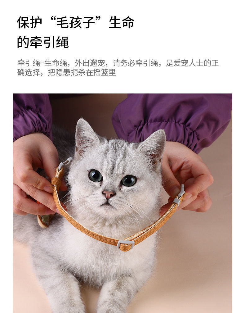 d3044b36-c226-44c8-8be0-8268bbb4a7ec.jpe