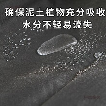 �o��������ȴ�͸��͸ˮ�b�������đ��©����̖�Nֲ����̫��