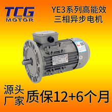 �V�|̨��YE3ϵ�У�IP55��1.5ǧ��/1500�����ஐ��늄әC�S�ҙCе