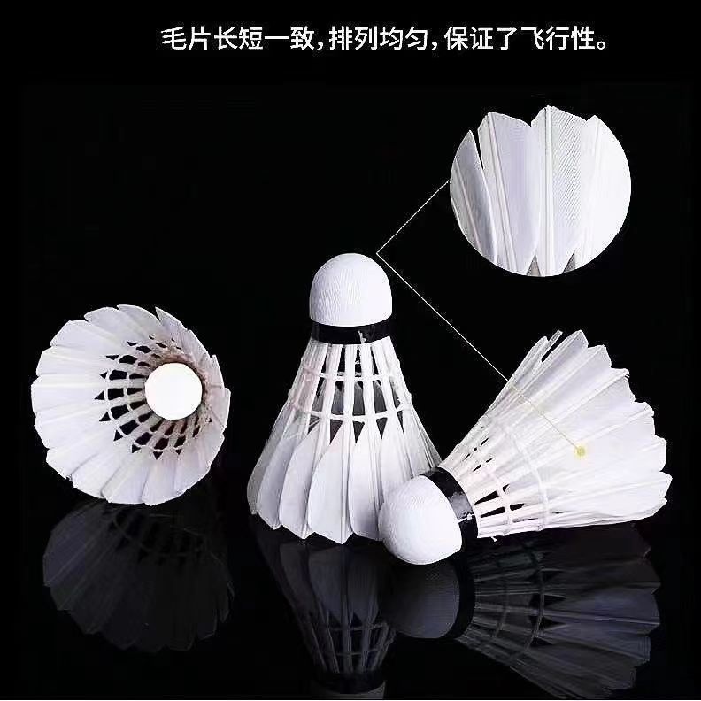 7840a5d4-ae6d-4352-aacc-b2b76865ff10.jpe