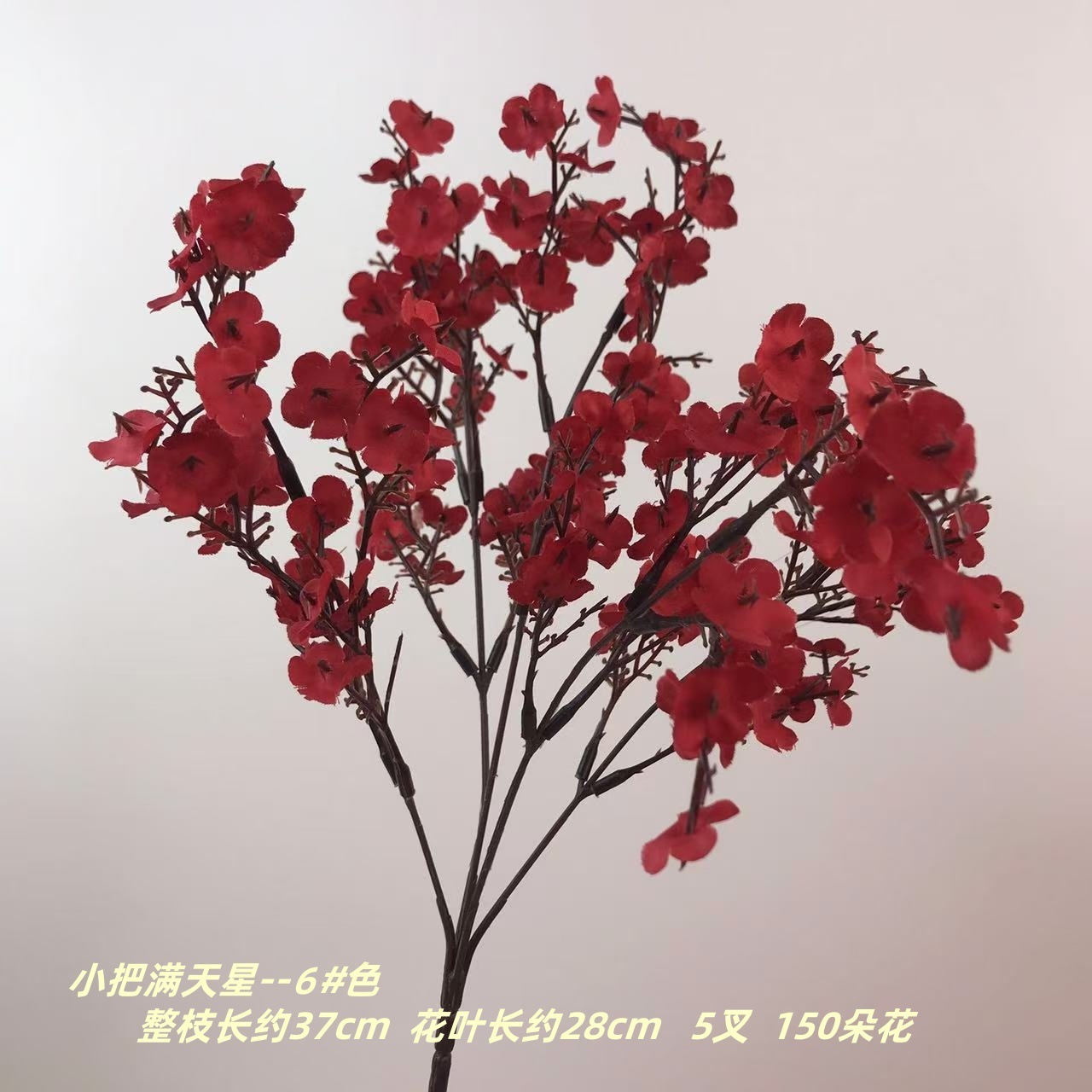 작은 안개꽃 6#색깔