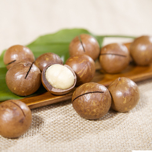 Macadamia Nuts【Shipped】Creamy Flavor Nuts 250g Large Nuts Snack New Year Specialty Macadamia Nuts