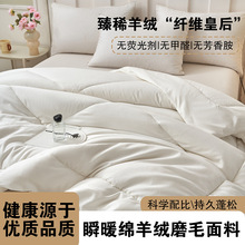 纯棉磨毛加厚保暖羊毛被100%纯绵羊绒冬被春秋四季单双人学生被芯