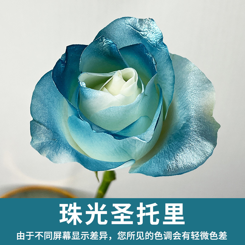 St. Torini Blue (480ml)