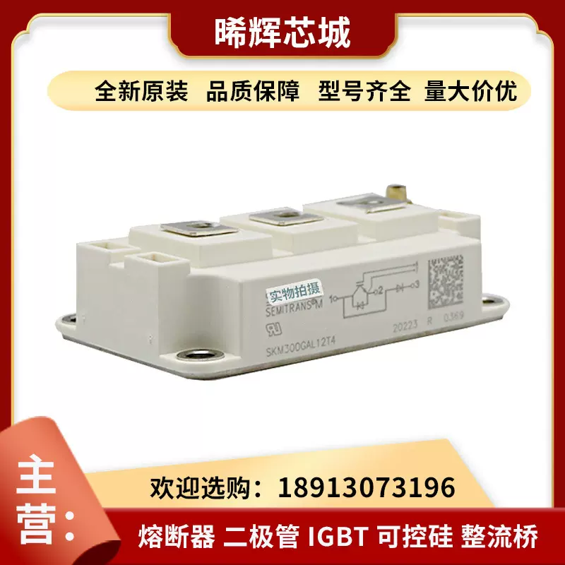 SKM300GAL12T4 SKM300GAL12E4 功率半导体IGBT 晶闸管 电子元器件