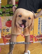 新款金毛短裤男搞怪趣味睡裤小众个性沙滩裤休闲遛弯裤情侣家居裤