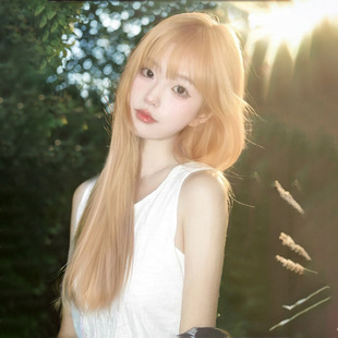 Platinum Wig for Women with Long Hair, Natural Long Straight Hair, Full Headgear, Artificial Hair, Full Human Hair, Daily Full Wig Set
