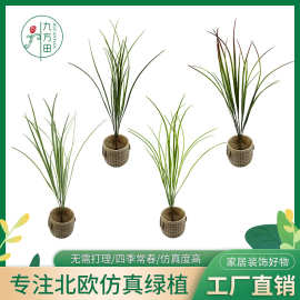 仿真绿植盆栽植物客厅家居装饰落地摆件假盆栽造景剑叶兰仿真植物