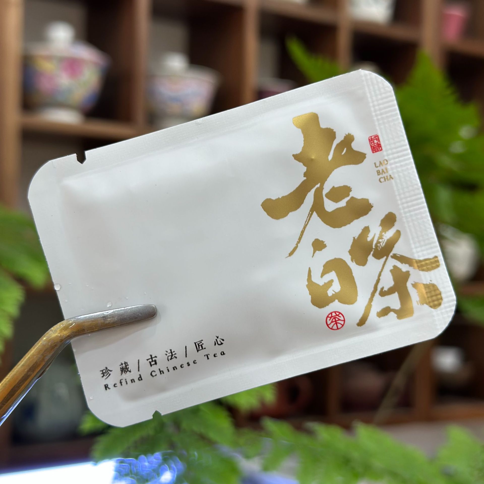 微信图片_20241010162204