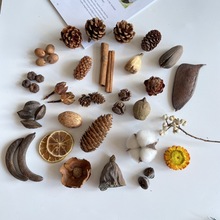 ���ﻨ�ɹ����ɹ��b��ֹ�DIY��Ȼԭ���ϰ�ɭϵ��޹Ү�Q�[���׃�