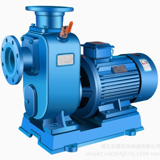 BZ直连自吸泵卧式管道离心泵大流量高扬程抽水泵三相循环清水泵