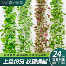 仿真绿萝藤条葡萄叶枫叶藤蔓塑料管道吊顶装饰植物绿叶藤条批发
