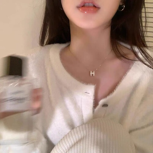 Niche High-end H-letter Full Titanium Steel Necklace for Women, Elegant and Versatile, Sweater Chain, Clavicle Chain, Internet Celebrity Accessory, Necklace