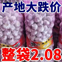 ��Ƥ������������Ǵ׼tƤɽ�|�������l2024����^��