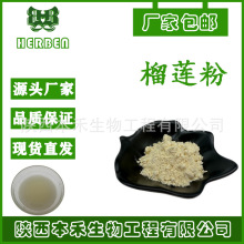 厂家供应 榴莲粉 99% 榴莲果粉食品级 喷雾干燥粉 另有冻干粉