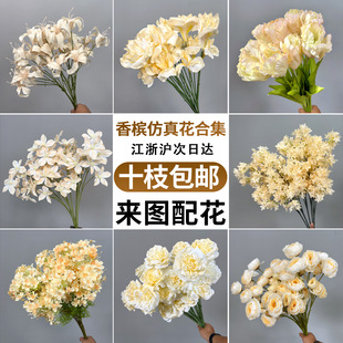 ���滨��c�û��㙉ɫ�ٻ���Y��Y�����컨�������l�����b�ˇ