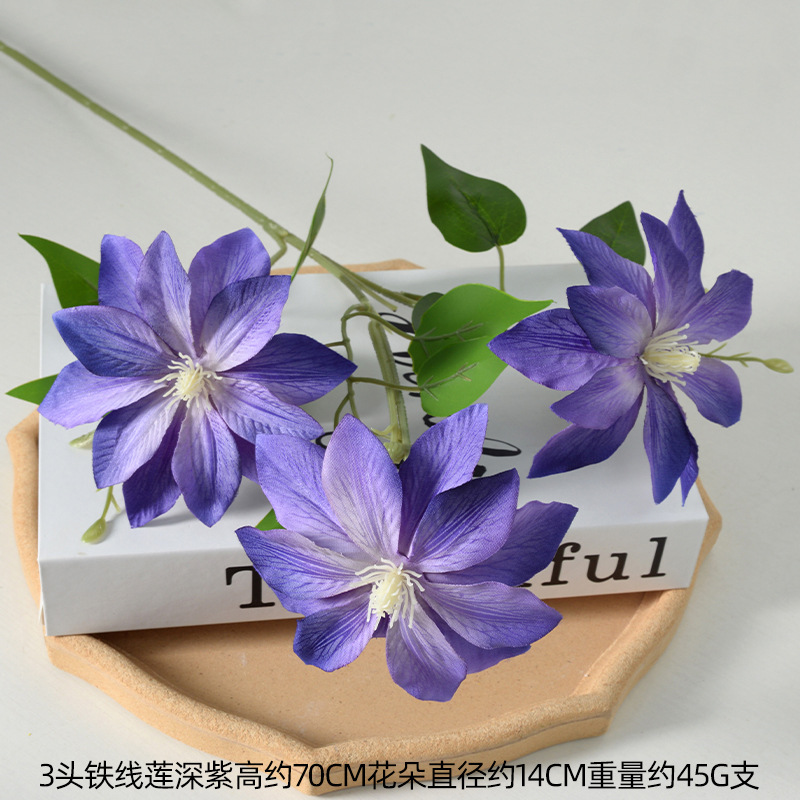 Clematis de color púrpura oscuro