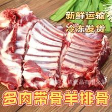 羊排带骨羊标排冷冻羊排羔羊排烧烤食材片9.5kg整箱厂家批发