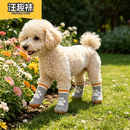 宠物袜子