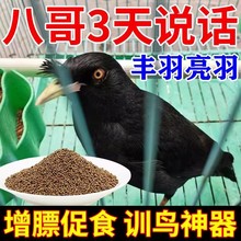 ���˸猣���B�Z���˸�����Bʳ�����B�Ϻ��Ϻڰ˸猣��ʳ��ϠI�B