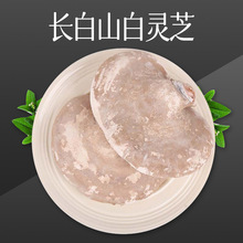 长白山白灵芝 产地货源东北特产厂家批发白灵芝500g散装一件代发