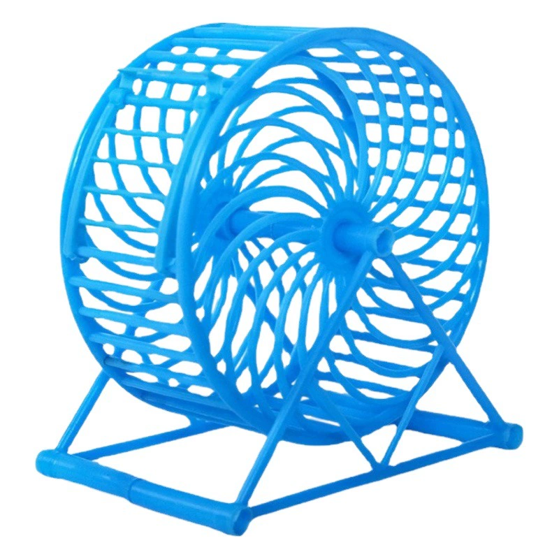 Трансграничный хомяк бегает по колесу, молчит золотой медведь ролик