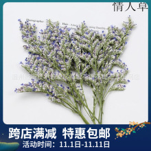 情人草干花 干草 滴胶手机壳 花环标本 DIY亲子手工相框 明信卡片