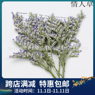 Lover Grass Hay Hay Gel Dropping Mobile Phone Case Garland Specimen DIY Parent-Child Handmade Photo Frame Mingxin Card