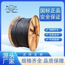 �㽭����NH-YJV/NH-VV 300ƽ����о2о3о4о5о���˼��~�����|