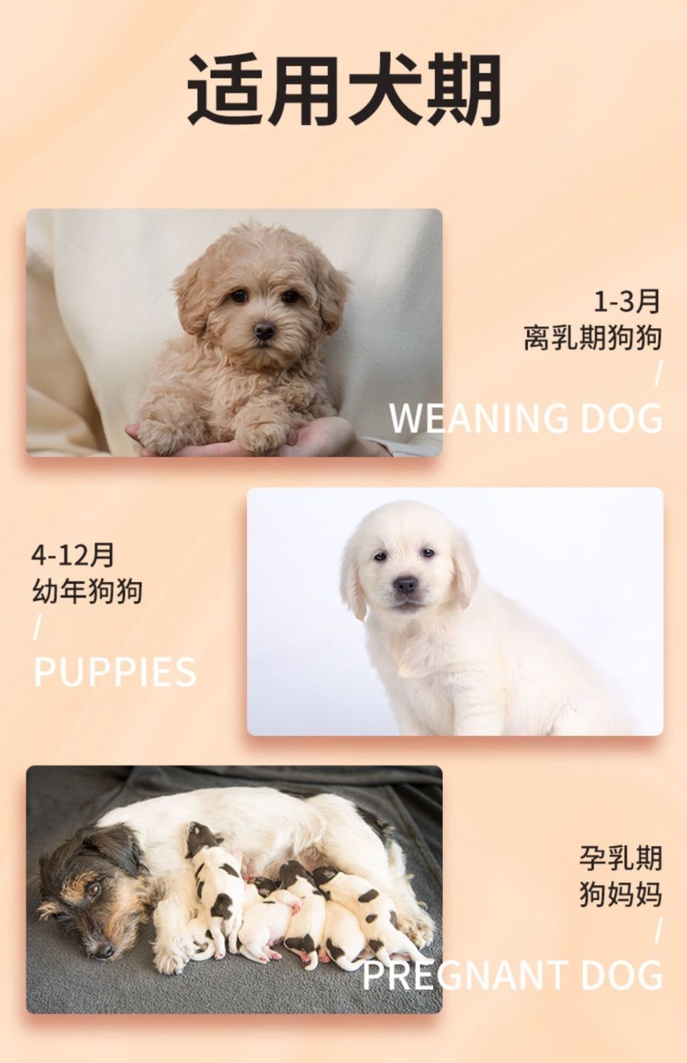 eb9b1d41-28bd-43db-ba6a-cfe917c41016.jpe