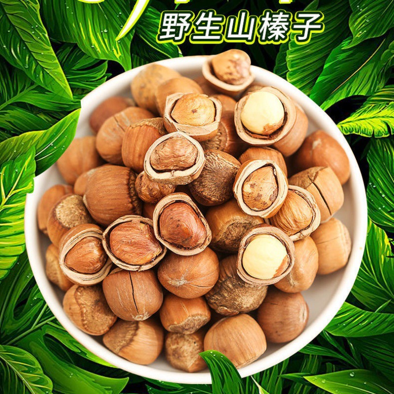 榛女皇山榛子新货新鲜小榛子东北特产铁岭榛子250g两斤送钳子