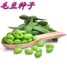 ��������ë���N�Ӳ��ô󶹸߮a�̨ͥԺ�����߲��ش�����S���N