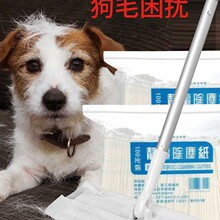 100Ƭ�o늳��m��һ�����ϵ��ϲ����ò��ذ����坍�ɽ���Q����