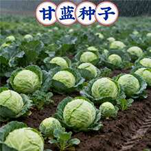 ���ˮ�����{�N������Y��G���{�Ѱ��˾��Ĳ�ɏ���׷N�ﶬ���߲�