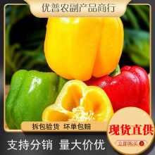 新鲜彩椒五彩椒当季现摘圆椒绿青椒灯笼甜椒新鲜蔬菜包邮可选顺丰
