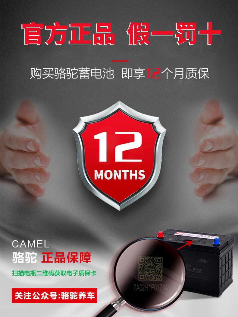 Camel Brand 12V Battery 6-Qwlz-120Ah for Trucks, Cars, Forklifts, Agricultural Machinery, Lead-Acid, Maintenance-Free