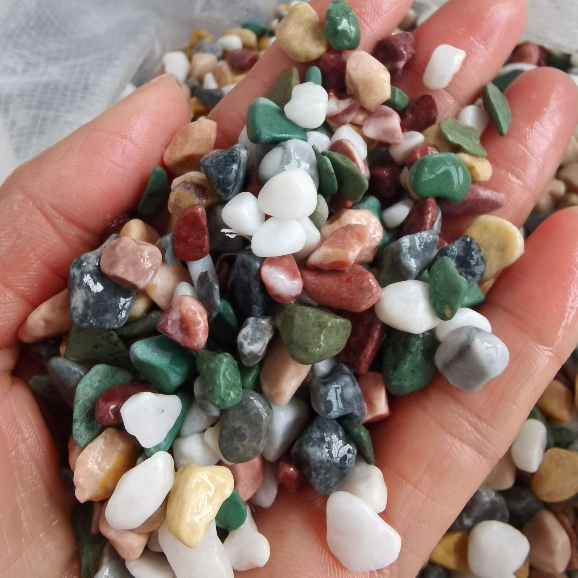 8d1cb2e6fd28491dac276528c9f8e8