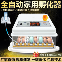 孵化器全自動家用小型塑料殼孵化機家用孵化箱雞鴨鵝鴿子蛋孵化器