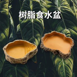 ���x�쾰ʳˮ���֬ʳ���،m������܌�����������������B��ˮ��