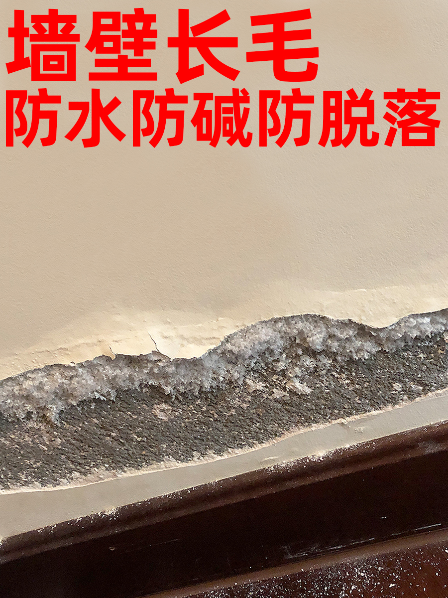 墙面反碱防水处理补墙膏防潮防霉防碱卫生间起毛渗水墙体家用