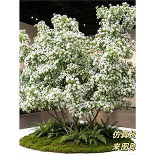 �����鬻����϶��㻨������÷�����҃�չ�d�쾰�W�t���;Gֲ�[��