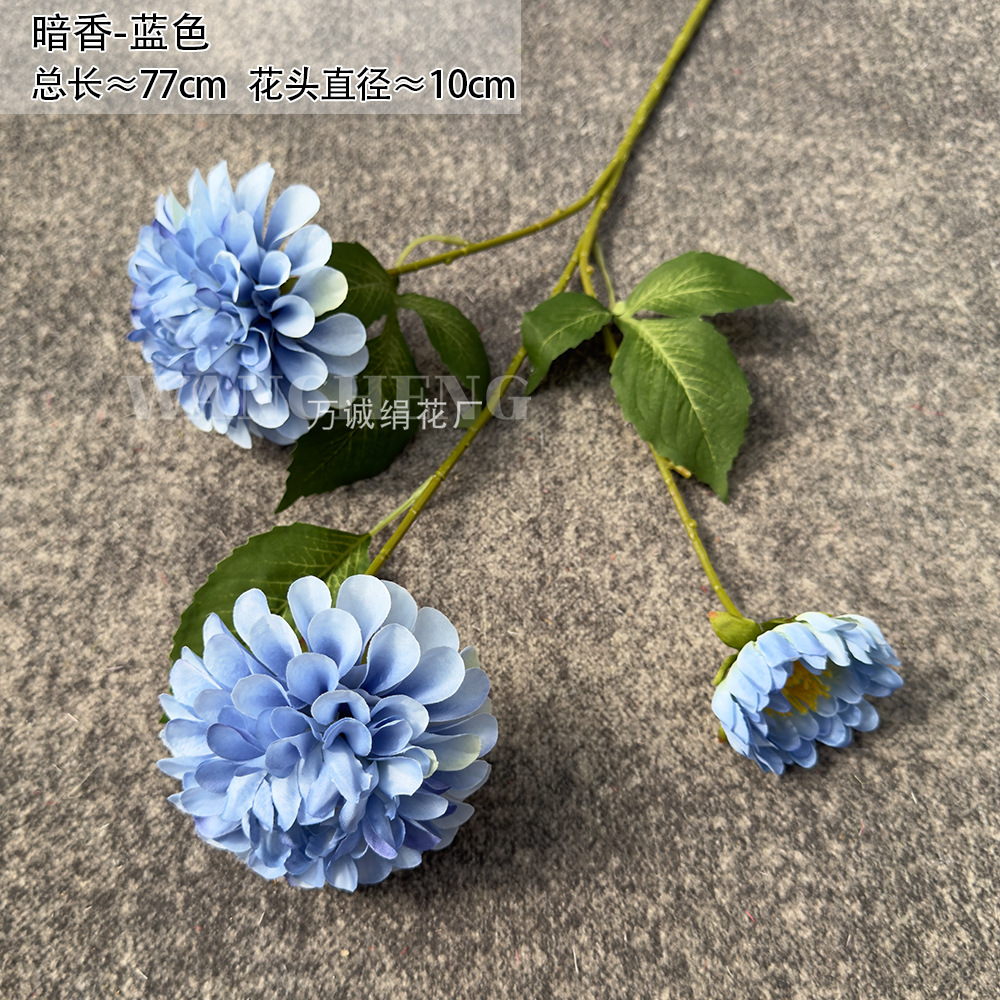 삼두 다크 블루 (현재 모델은 잎 없음)