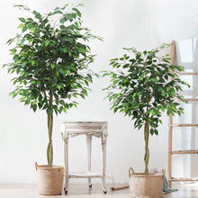 北欧跨境仿真榕树室内装饰植物孟加拉榕绿植盆栽假树盆景室内摆设