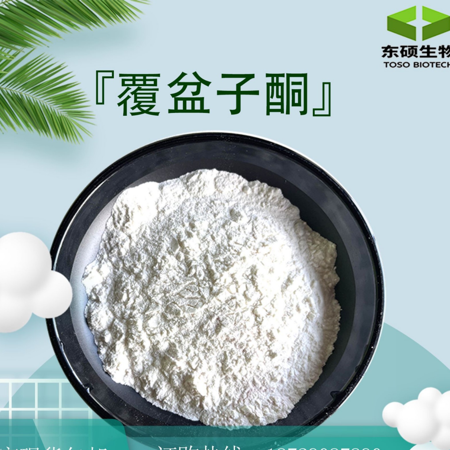 覆盆子酮98% 覆盆子提取物水溶性覆盆子酮粉  覆盆子提取物