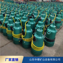 �V��������ɳ��bqs15-20-1.5 BQS��P��660vMAú�V�������ˮ��