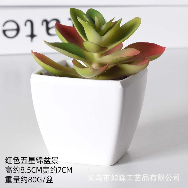 Simulación de plástico carnoso bonsai flor falsa combinación oficina interior escritorio plantas verdes pequeños adornos plantas artificiales al por mayor image 20