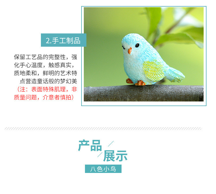 八色小鸟_07