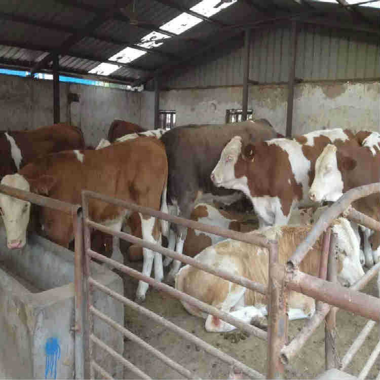 20161220085879947994417905_mei