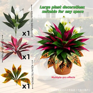 �羳���N�� ������Ƽtɫ��Ѫ����ɫ׃ɫľ�Gֲ�M�ϻ��@�ٻ��b�
