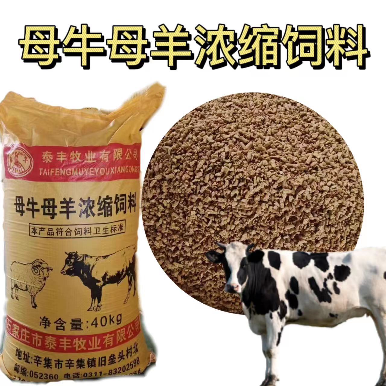 母牛母羊浓缩高蛋白高营养孕泌乳饲料工厂直发80斤孕产期专用